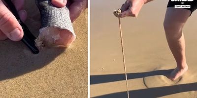 man pulling a worm from the sand with pliers