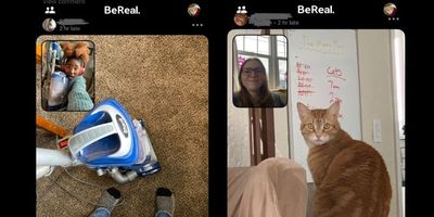 BeReal photos, vacuum, orange cat