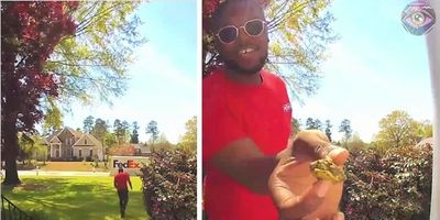 joy; guy finds turtle; happy video; viral video; heartwarming videos
