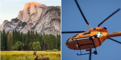 deer at Yosemite National Park, air ambulance helicopter