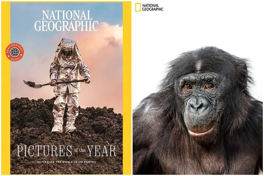 nat geo, pictures of 2022, national geographic