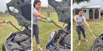woman pulls snake from car