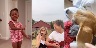 VanVan on Instagram, Kevin Bacon and Kyra Sedgwick singing, sleepy dog and cat