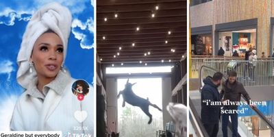 heaven's receptionist, dancing goat, scared on escalator
