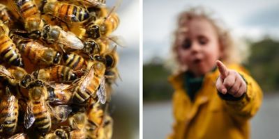 50k bees in wall; toddler afraid of monsters; mom doesn't believe monsters; monsters are bees; parenting