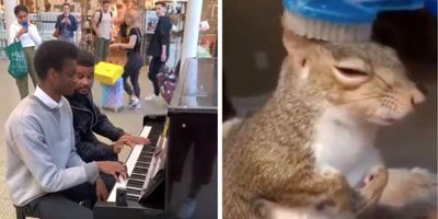 10 things, piano, squirrel