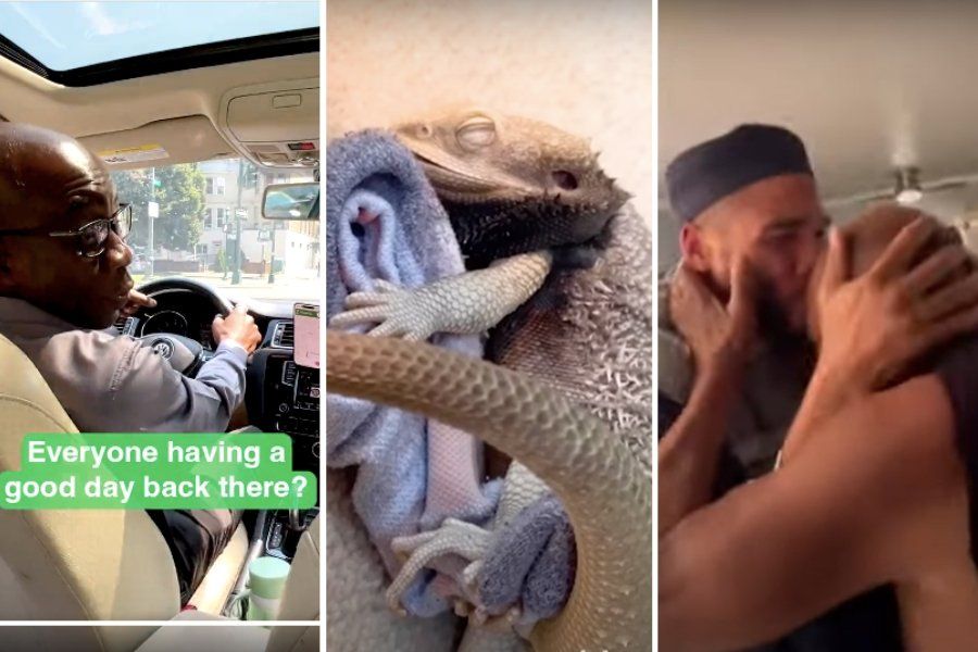 Uber driver, bearded dragon with favorite sock, father and son embracing