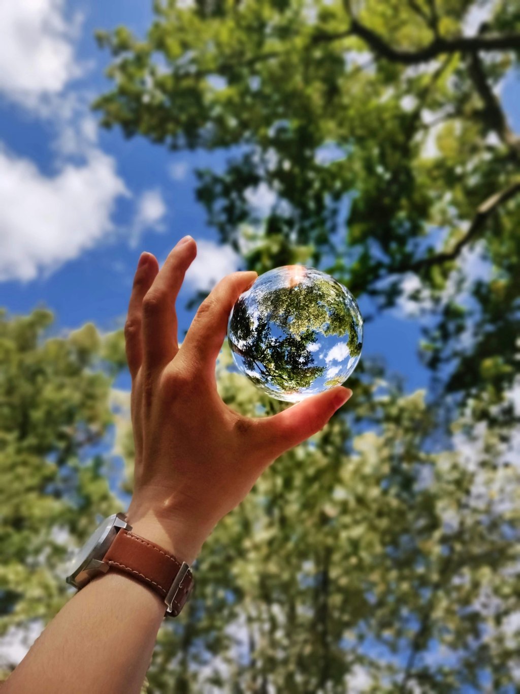 Hand holding a reflective sphere with trees and sky background.