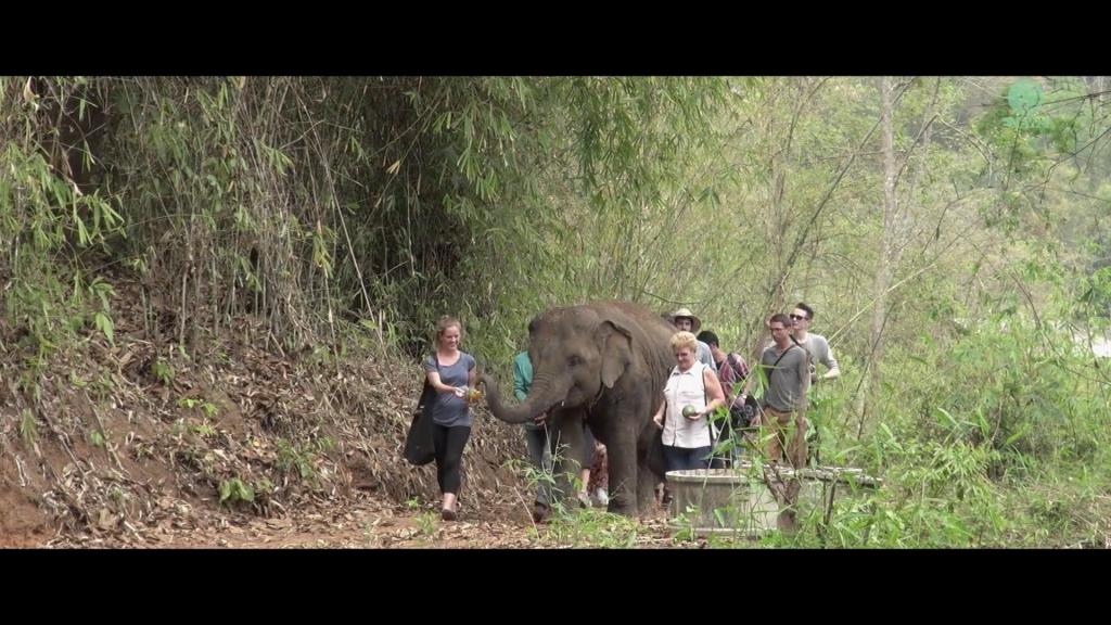 National Geographic, Nonhuman Rights Group, zoo, tourism