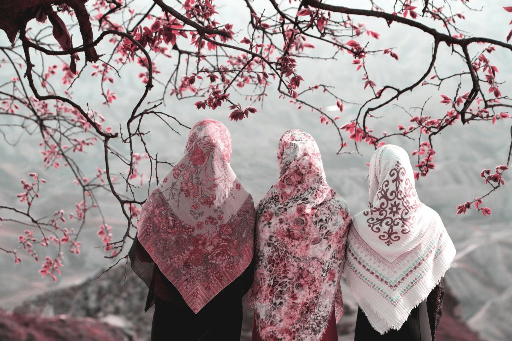 Three women in floral hijabs under a blossoming tree, overlooking a foggy landscape.