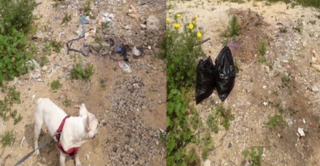 This is what happens when people meet cleaning challenges head on.