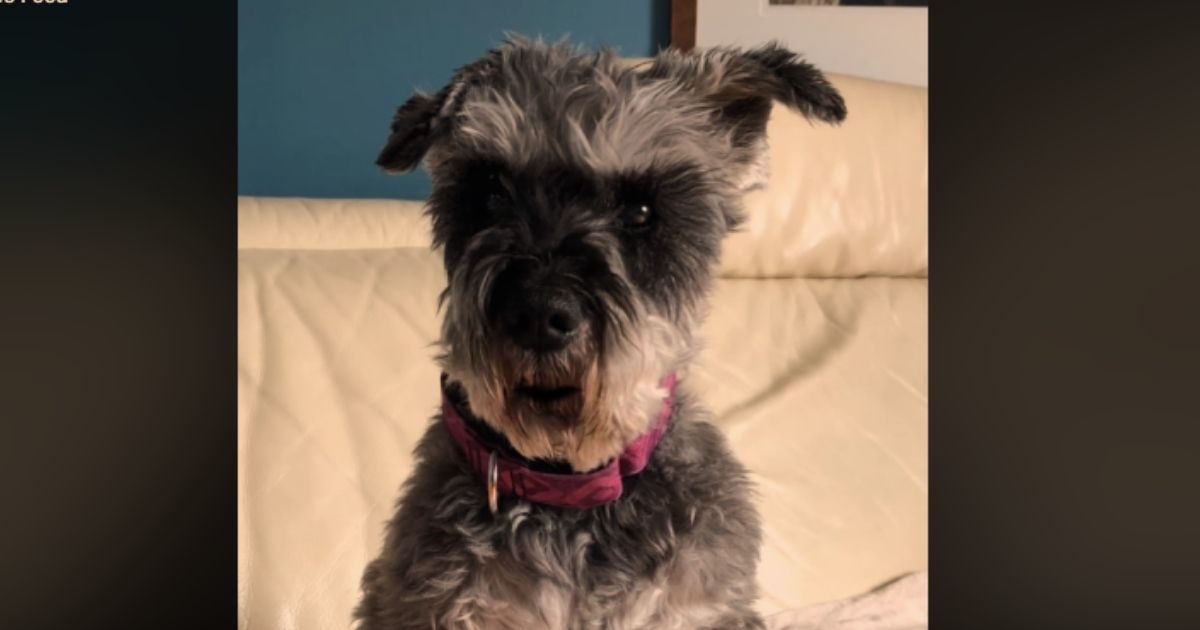 Array