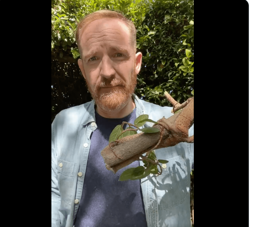 Marc Evan Jackson Tree bassoon