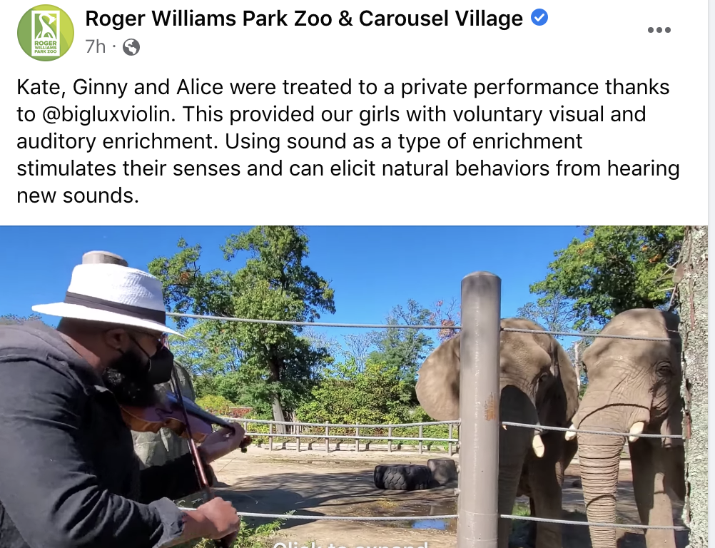 Big Lux violin, big lux kelly clarkson