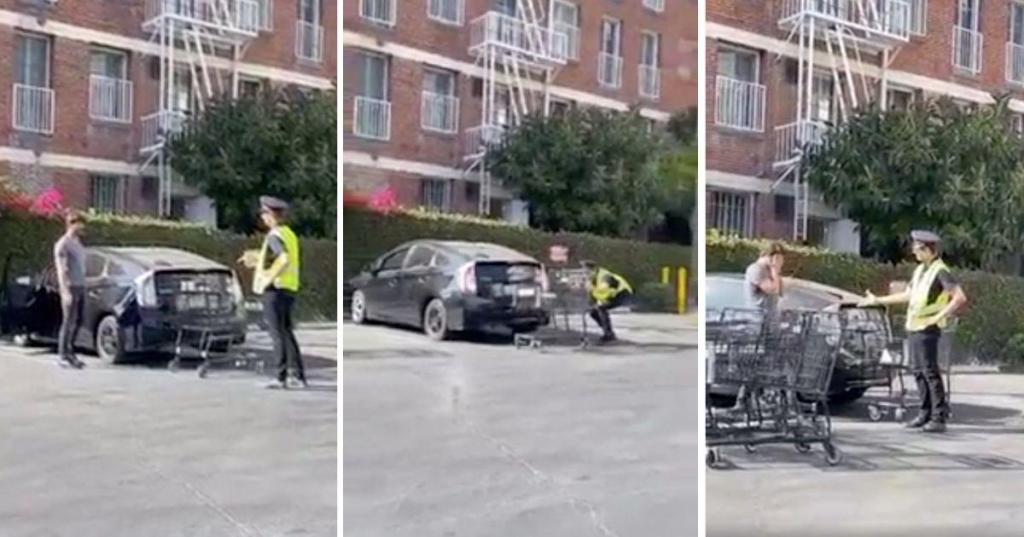 prank, shopping cart