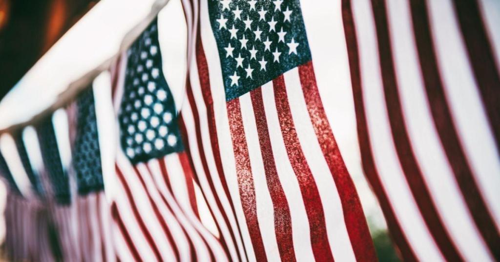 Veterans Day, patriotism, military, peace