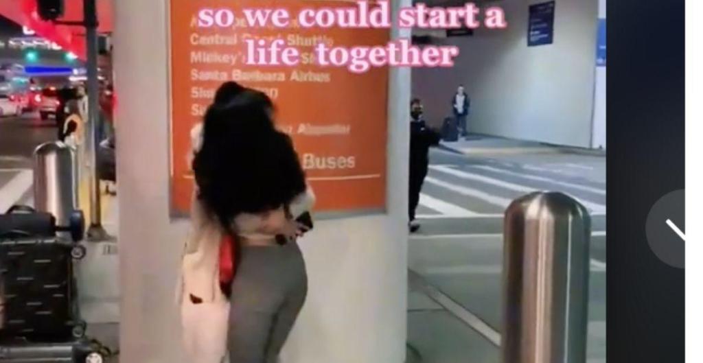 platonic life partners tiktok, alternative relationships