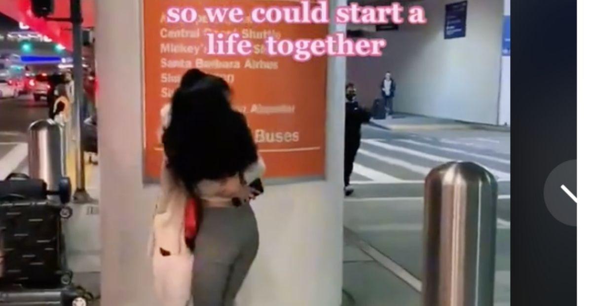 platonic life partners tiktok, alternative relationships