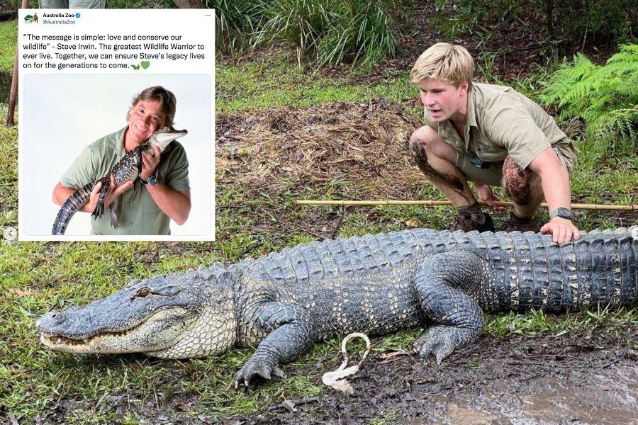 crocodile hunter, nature