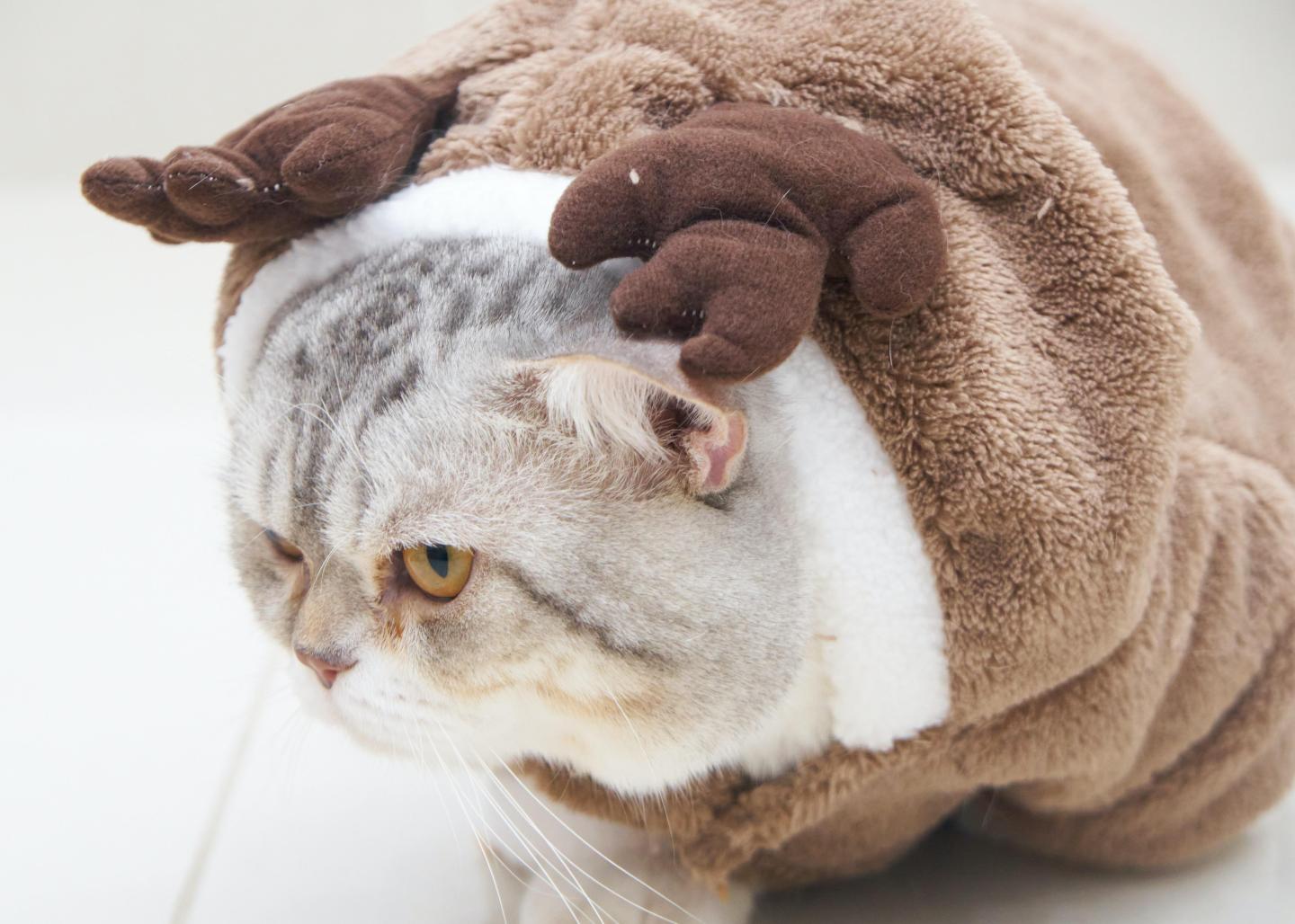 imposter syndrome