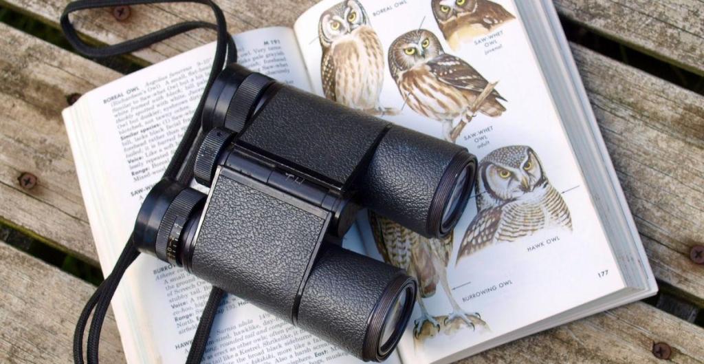 bird watching, christian cooper, extraordinary birder, birds