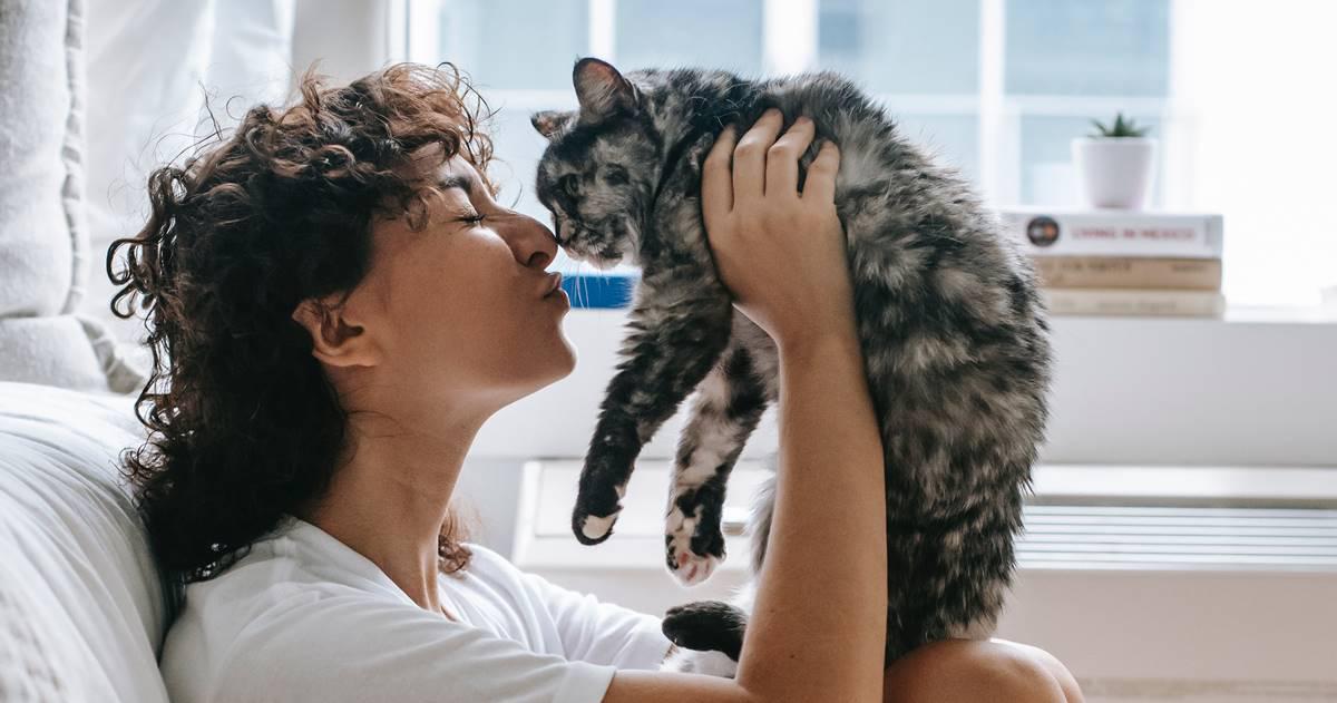 cats, cats know names, pet studies