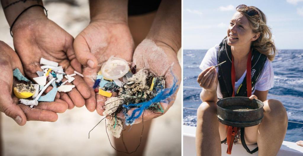 ocean, pollution, environment