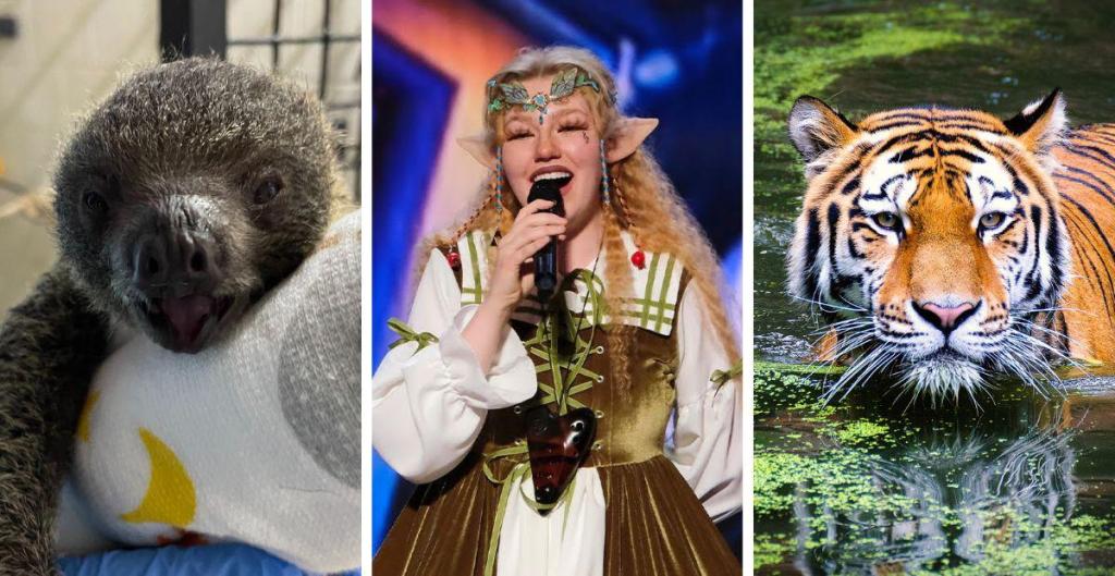 upworthy 10 things, good news