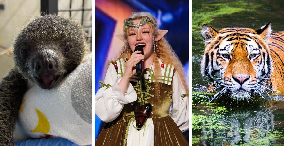 upworthy 10 things, good news