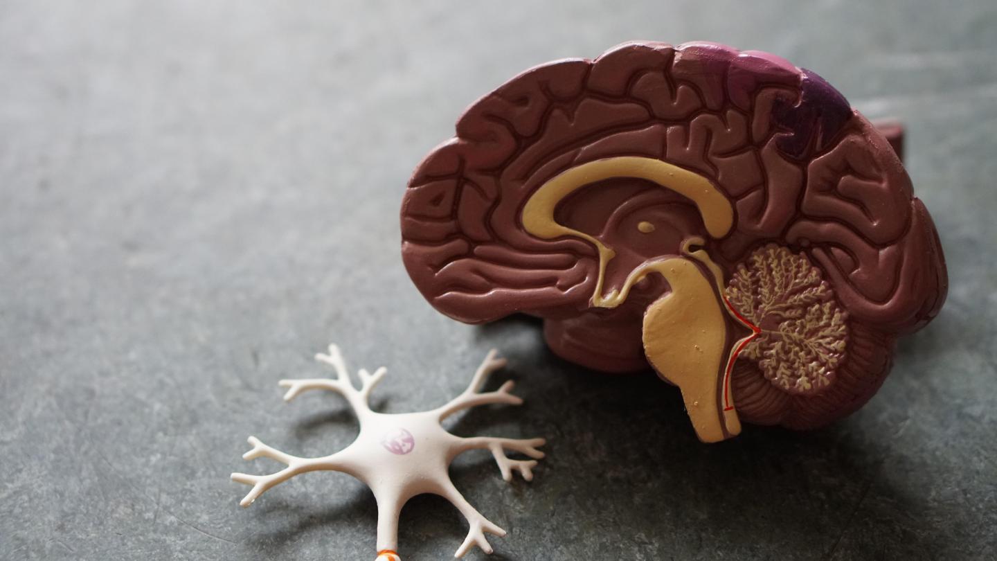 dementia; Alzheimer's; forgetfulness