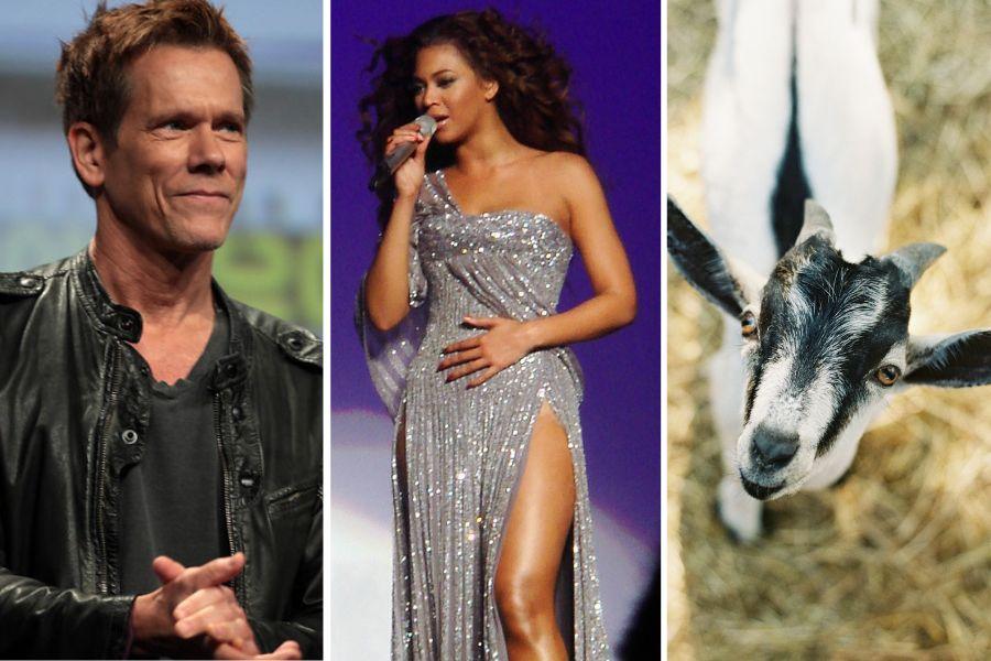 Kevin Bacon Beyoncé goats music