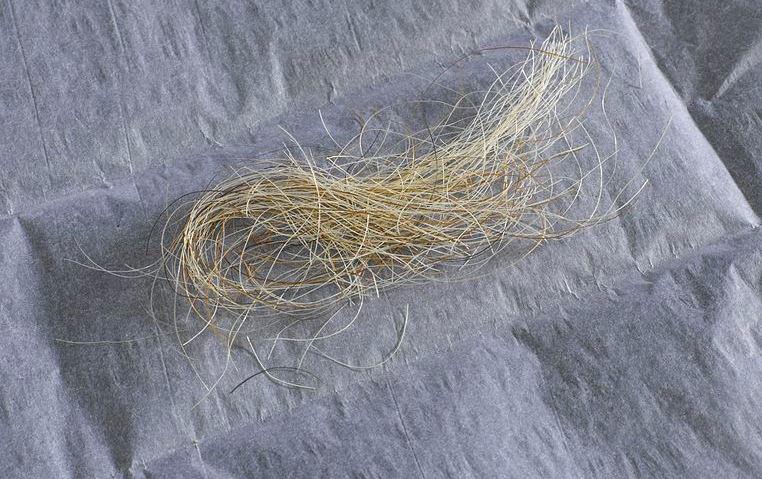 lock of hair, hair art, dyer ghoul house