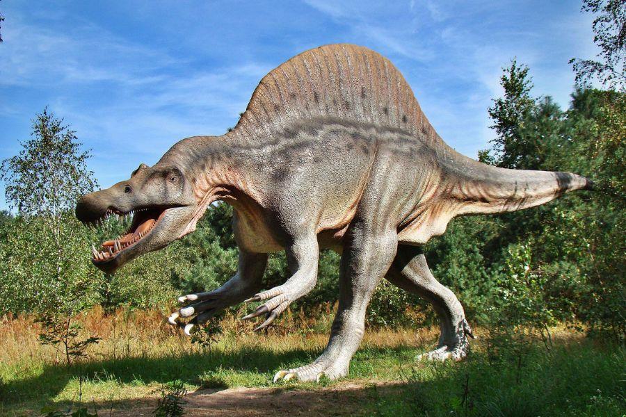 dinosaurs, fossils, history, Texas