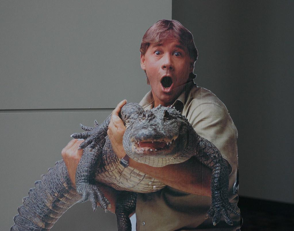 steve irwin, man catches alligator