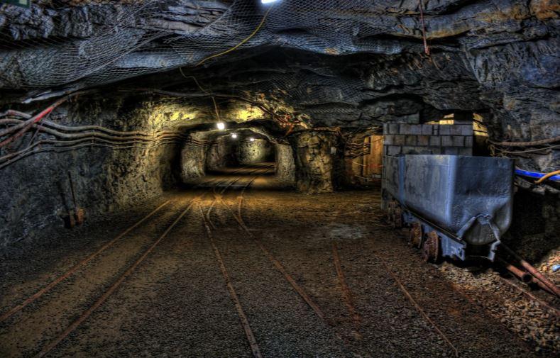 coal miner, john calipari, kentucky wildcats