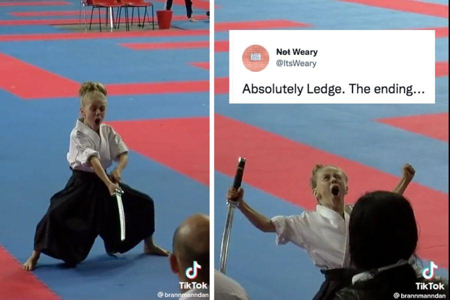 swordfighting, martial arts