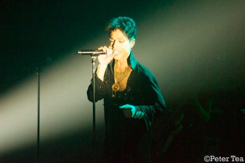 prince acoustic cream performance