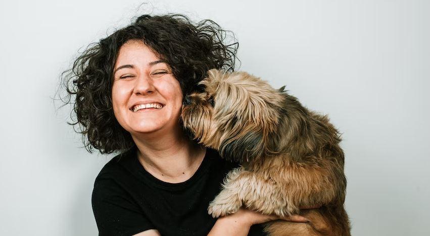 dog scent, dogs smell stress, dog science