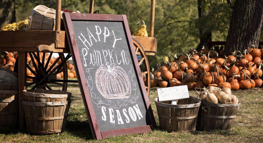 thankful pumpkin, amy latta, thanksgiving