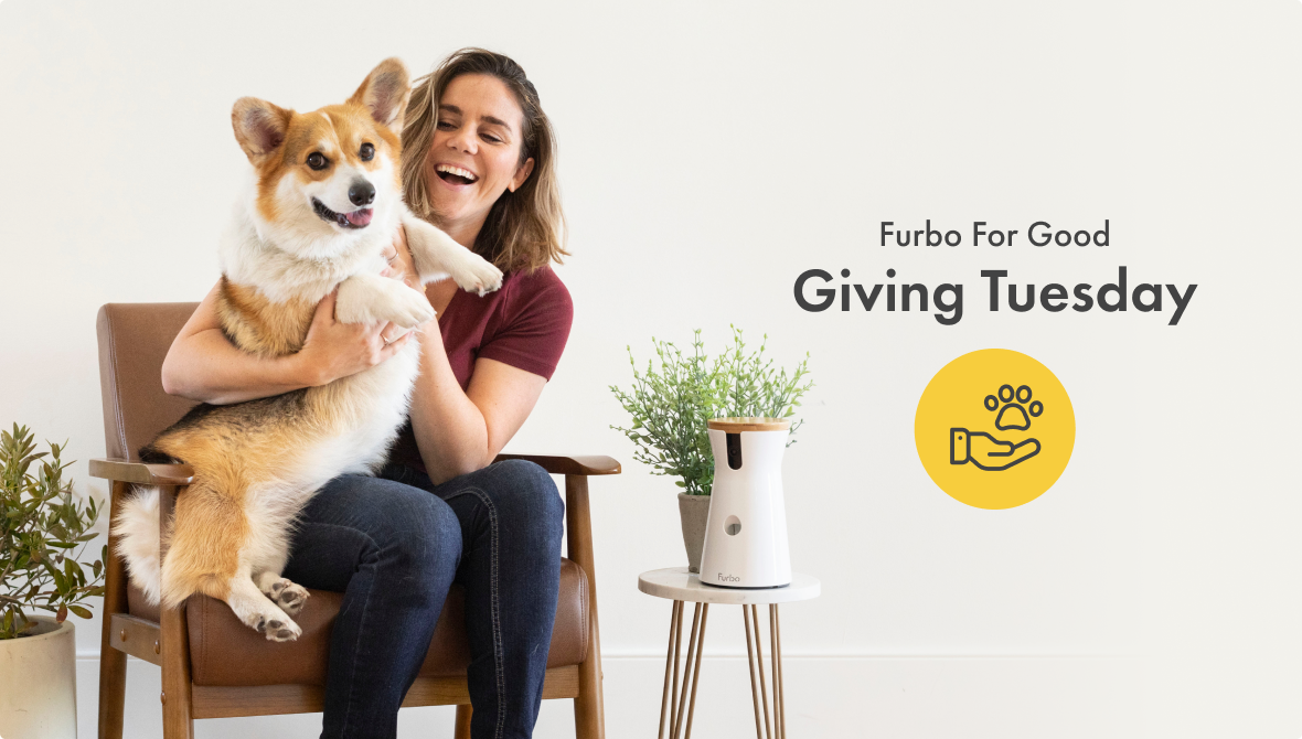 giving tuesday