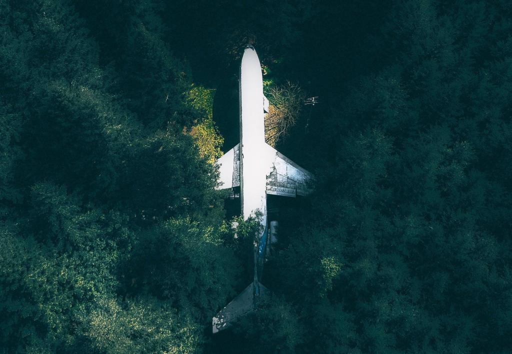 bruce campbell oregon, living in plane, plane home