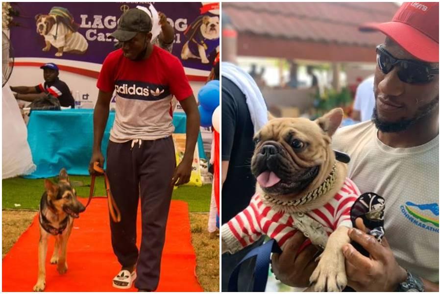 lagos dog festival, nigerian dogs, animal rights nigeria