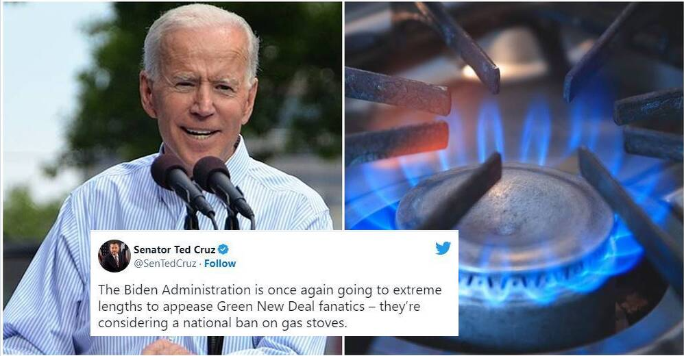 gas stoves, gas stove ban, ted cruz