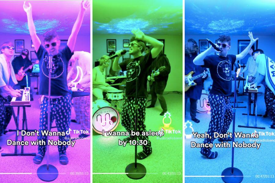 Whitney Houston, parody, introverts