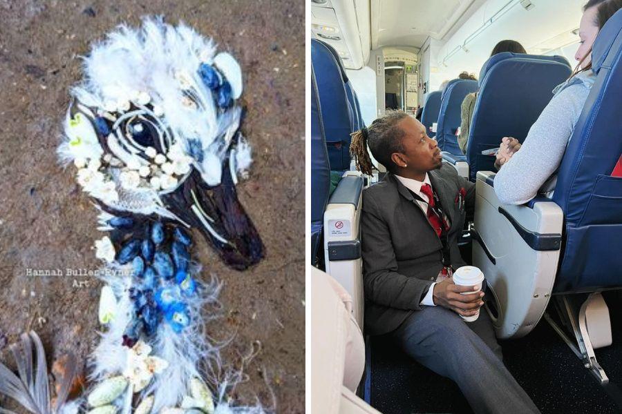 art, animals, kindness