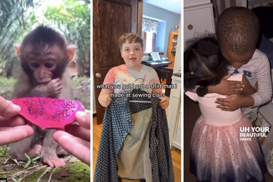 monkey, young tailor, sweet brother and sister