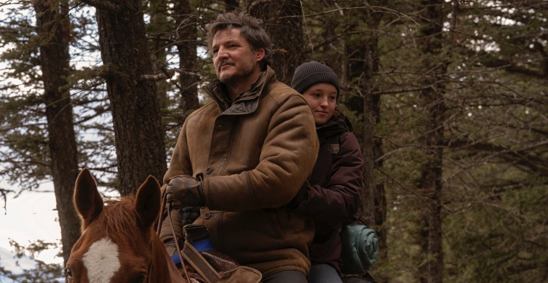 the last of us, pedro pascal, bella ramsey