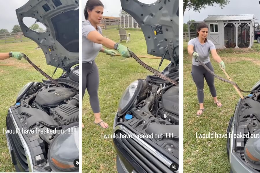 woman pulls snake from car