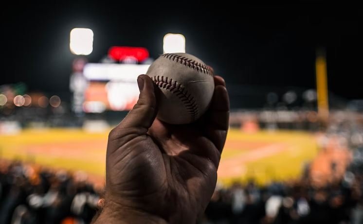 fetch, dog home run, los angeles dodgers