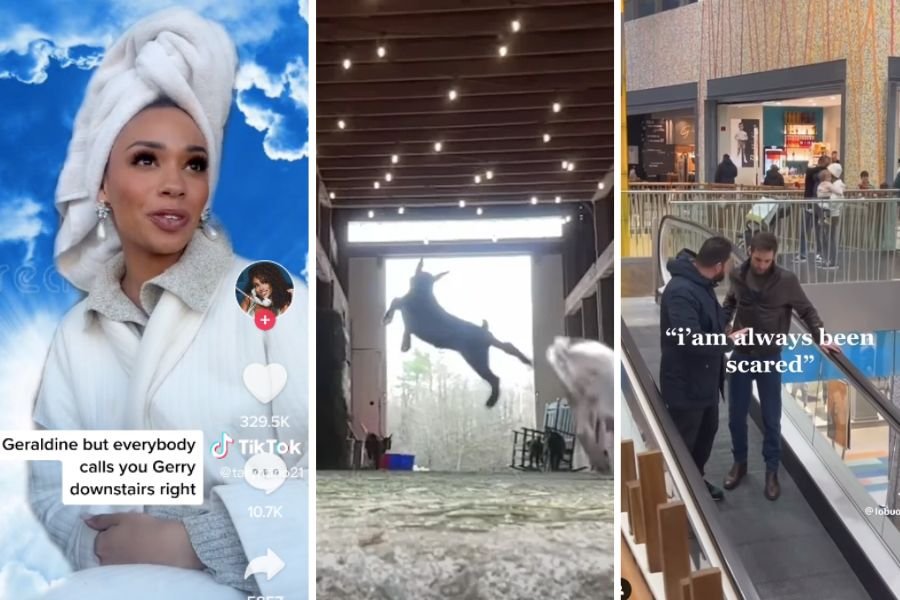 heaven's receptionist, dancing goat, scared on escalator